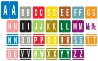 GBS (VRE) Alpha Labels, Laminated, 1-5/16" X 1-1/4", Individual Letters - Pack of 200 - SHIPS FREE